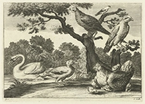 Swan, hen with chicks and other birds, Pieter van Lisebetten, Wenceslaus Hollar Swan, hen with chicks and other birds, Pieter van Lisebetten, Wenceslaus Hollar