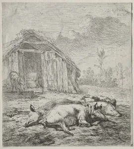 Three Swine Lying Front Sty Karel Dujardin Dutch Three Swine Lying Front Sty Karel Dujardin Dutch