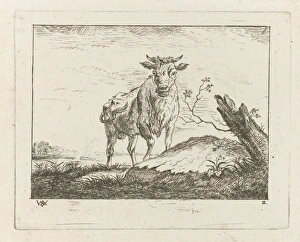 Taurus on riverbank, Johannes Janson, Monogrammist WVA, 1761 - 1834 Taurus on riverbank, Johannes Janson, Monogrammist WVA, 1761 - 1834