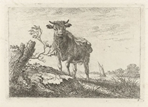 Taurus on the riverbank, Johannes Janson, 1761-1784 Taurus on the riverbank, Johannes Janson, 1761-1784