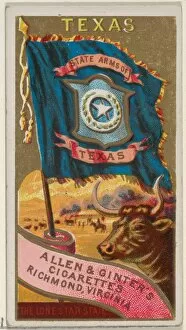 Variations Gallery: Texas Flags States Territories N11 Allen & Ginter Cigarettes Brands