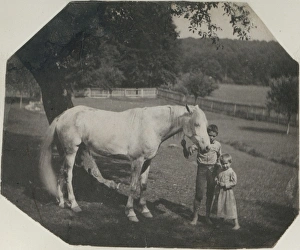 Thomas Eakins Horse Billy Two Crowell Children Thomas Eakins Horse Billy Two Crowell Children