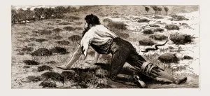 Thrown from his Horse, a Disabled Stockman in the Bush, New South Wales, Australia, 1883 Thrown from his Horse, a Disabled Stockman in the Bush, New South Wales, Australia, 1883