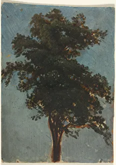 Tree Study second third 1800s Attributed Alexandre Calame Tree Study second third 1800s Attributed Alexandre Calame
