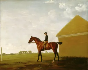 Turf, with Jockey up, at Newmarket Portrait of Turf with Jockey up Inscribed Turf, with Jockey up, at Newmarket Portrait of Turf with Jockey up Inscribed