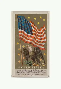 United States Flags Nations Series 1 N9 Allen & Ginter Cigarettes Brands United States Flags Nations Series 1 N9 Allen & Ginter Cigarettes Brands