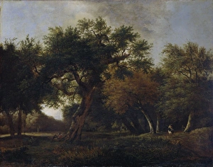 View of a Forest, Jan van Kessel (1641-1680), 1660 - 1680 View of a Forest, Jan van Kessel (1641-1680), 1660 - 1680
