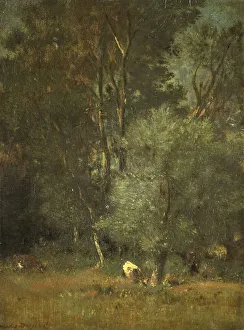 View Woods Forest view cow figure under tall trees View Woods Forest view cow figure under tall trees