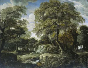 View Woods Forest view Open piece pond stream View Woods Forest view Open piece pond stream