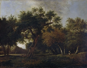 View Woods Forest view pond trees right horseman View Woods Forest view pond trees right horseman