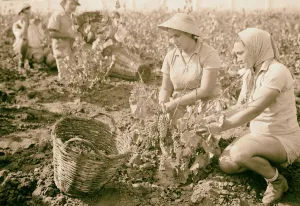 Vintage activities Richon-le-Zion Aug 1939 Group Vintage activities Richon-le-Zion Aug 1939 Group