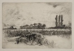 Water Meadow 1859 Francis Seymour Haden British Water Meadow 1859 Francis Seymour Haden British