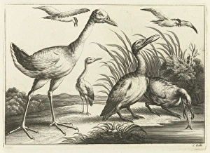 Waterfowl, print maker: Pieter van Lisebetten, Wenceslaus Hollar, Francis Barlow Waterfowl, print maker: Pieter van Lisebetten, Wenceslaus Hollar, Francis Barlow