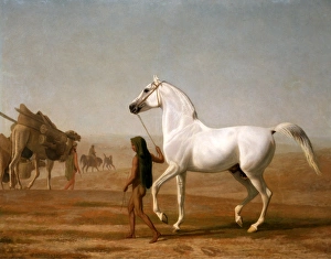 The Wellesley Grey Arabian Led through the Desert, Jacques-Laurent Agasse, 1767-1849 The Wellesley Grey Arabian Led through the Desert, Jacques-Laurent Agasse, 1767-1849