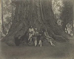 Women Cameras Base Tree Louis Fleckenstein American Women Cameras Base Tree Louis Fleckenstein American