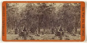 Woods left wing Battle Gettysburgh Studio Mathew B Woods left wing Battle Gettysburgh Studio Mathew B