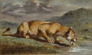 Wounded Lioness 1840/50 Pierre Andrieu French Wounded Lioness 1840/50 Pierre Andrieu French