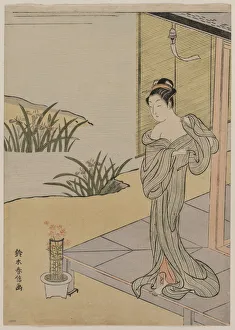 Young Woman Looking Pot Pinks 1767 Suzuki Harunobu Young Woman Looking Pot Pinks 1767 Suzuki Harunobu