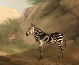 Zebra, Jacques-Laurent Agasse, 1767-1849, Swiss Zebra, Jacques-Laurent Agasse, 1767-1849, Swiss
