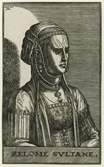 Zelome Sultane title object Portrait woman sultan Zelome Sultane title object Portrait woman sultan