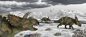Albertaceratops during their winter migration Albertaceratops during their winter migration