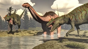 Two Allosaurus dinosaurs attacking a large Apatosaurus Two Allosaurus dinosaurs attacking a large Apatosaurus