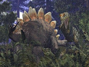 An Allosaurus stumbles upon a grazing Stegosaurus An Allosaurus stumbles upon a grazing Stegosaurus