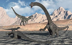 An Allosaurus waits for its chance to attack a Diplodocus trapped in a mud pit An Allosaurus waits for its chance to attack a Diplodocus trapped in a mud pit