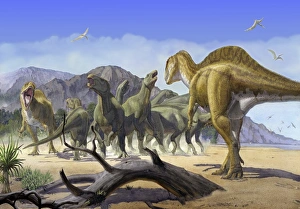 Altispinax dunkeri dinosaurs attack a group of Iguanodon Altispinax dunkeri dinosaurs attack a group of Iguanodon