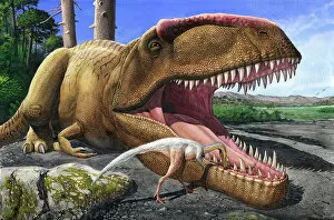 Waiting Gallery: An Alvarezsaurid bird cleans the mouth of a Giganotosaurus carolinii dinosaur