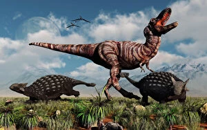 Ankylosaurus dinosaurs defend themselves against a T-Rex