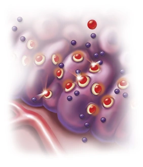 Antihistamine in histamine receptors blocking the allergic reaction Antihistamine in histamine receptors blocking the allergic reaction