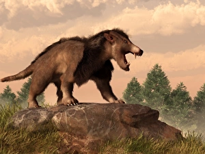 <b class=qtipBold><figcaption>An Arctocyon on a rock</figcaption></b><br>An Arctocyon on a rock.<br><em>© Daniel Eskridge/Stocktrek Images</em> An Arctocyon on a rock