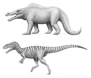 Artists concept of Megalosaurus bucklandii, past and present Artists concept of Megalosaurus bucklandii, past and present