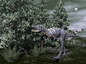 Aucasaurus dinosaur amongst wollemia trees and onychiopsis plants Aucasaurus dinosaur amongst wollemia trees and onychiopsis plants