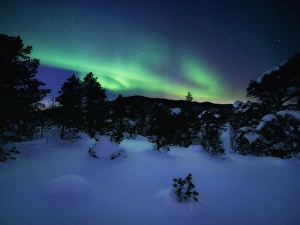 Aurora Borealis over Forramarka Woods in Tennevik, Troms County, Norway Aurora Borealis over Forramarka Woods in Tennevik, Troms County, Norway