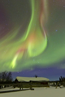 Aurora borealis and Orions Belt above a log cabin at Whitehorse, Yukon, Canada Aurora borealis and Orions Belt above a log cabin at Whitehorse, Yukon, Canada