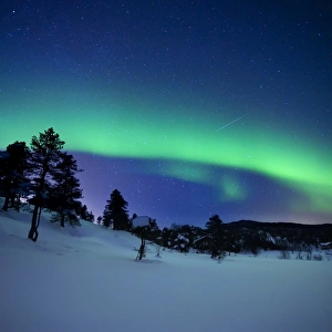 Aurora Borealis and a shooting star in the woods of Troms County, Norway Aurora Borealis and a shooting star in the woods of Troms County, Norway