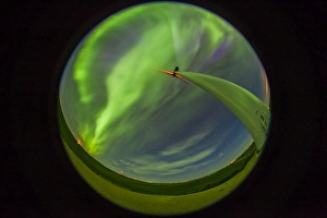 An aurora display taken from Wintering Hills Wind Farm, Alberta, Canada An aurora display taken from Wintering Hills Wind Farm, Alberta, Canada