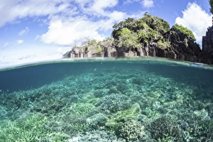 A beautiful coral reef grows near a set of limestone islands in Indonesia A beautiful coral reef grows near a set of limestone islands in Indonesia