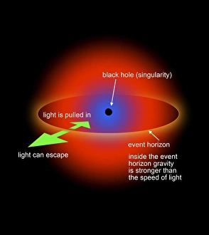 <b class=qtipBold><figcaption>Black Hole Singularity Diagram</figcaption></b><br>A diagram explaining the Event Horizon of a black hole.<br><em>© Ron Miller/Stocktrek Images</em> Black Hole Singularity Diagram