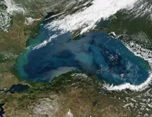 Phytoplankton Collection: The Black Sea in eastern Russia
