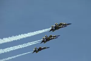 Images Dated 31st March 2007: The Blue Angels perform aerial demonstrations during an air show