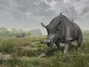 Brontotherium wander the lush late Eocene landscape Brontotherium wander the lush late Eocene landscape
