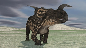 Brown Einiosaurus walking across an open field Brown Einiosaurus walking across an open field