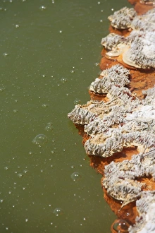 Bubbles rising in Champagne Pool hot spring, Wai-O-Tapu Geothermal area, New Zealand Bubbles rising in Champagne Pool hot spring, Wai-O-Tapu Geothermal area, New Zealand
