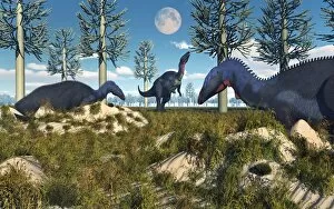Camptosaurus Gallery: Camptosaurus nesting ground set during the Jurassic Period