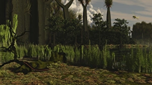 Carboniferous forest of the Eastern United States 300 million years ago Carboniferous forest of the Eastern United States 300 million years ago