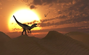 A carnivorous Allosaurus calling out across a desert landscape A carnivorous Allosaurus calling out across a desert landscape