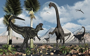 A carnivorous Allosaurus confronts a giant Diplodocus herbivore during the Jurassic A carnivorous Allosaurus confronts a giant Diplodocus herbivore during the Jurassic